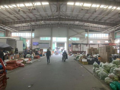市城管局赴苏州调研农副产品批发市场运维及货物运输代理经验