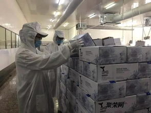 青岛机场个人物品与食品茶叶进口报关报检全攻略